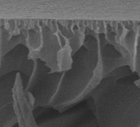 A kind of preparation method of hydrophobic carbon point modified forward osmosis composite membrane