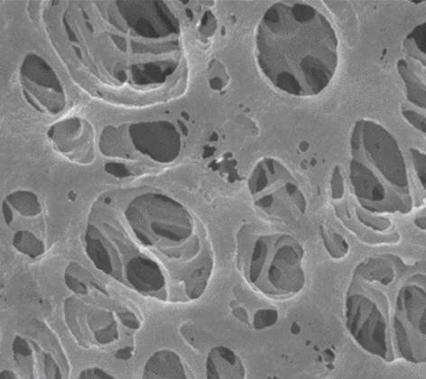 A kind of preparation method of hydrophobic carbon point modified forward osmosis composite membrane