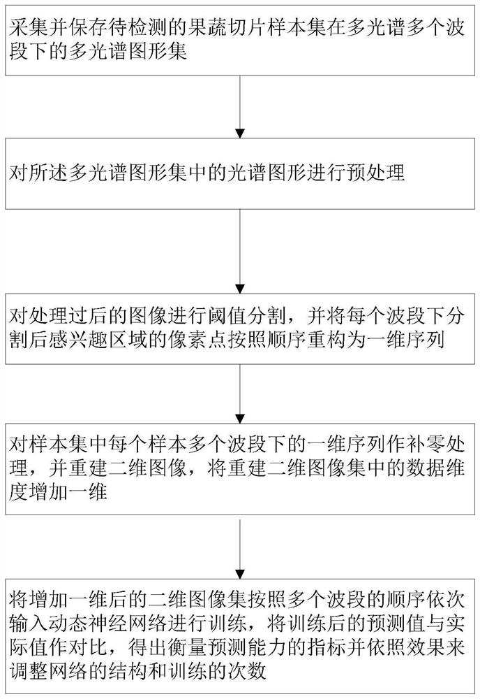 Method and system for detecting quality in fruit and vegetable drying process based on dynamic neural network