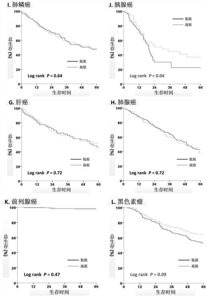 Application of ASMT/CYP1A1 molecular signature in predicting clinical prognosis or immune characteristics of solid tumors