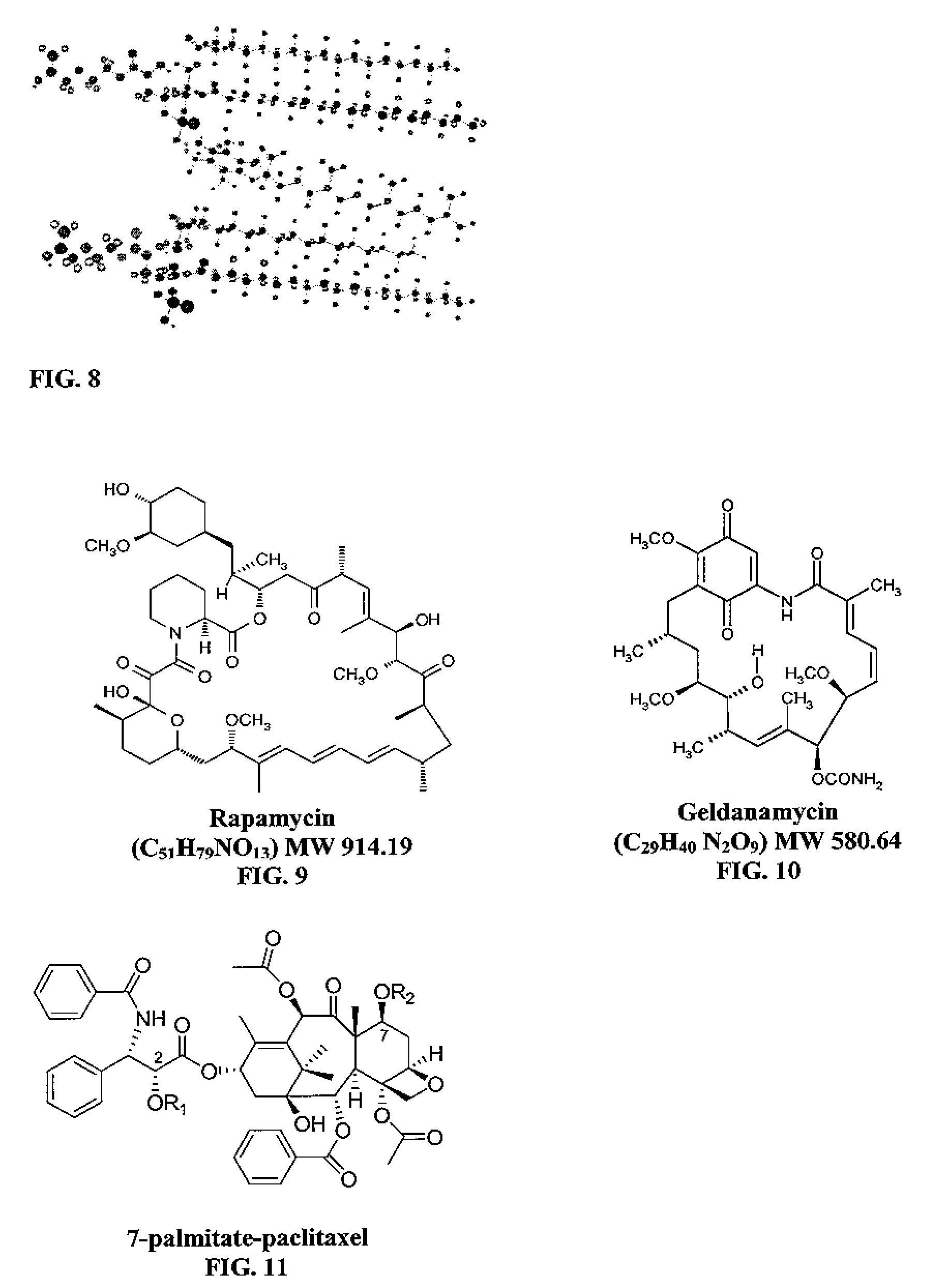 Micelle composition of polymer and passenger drug