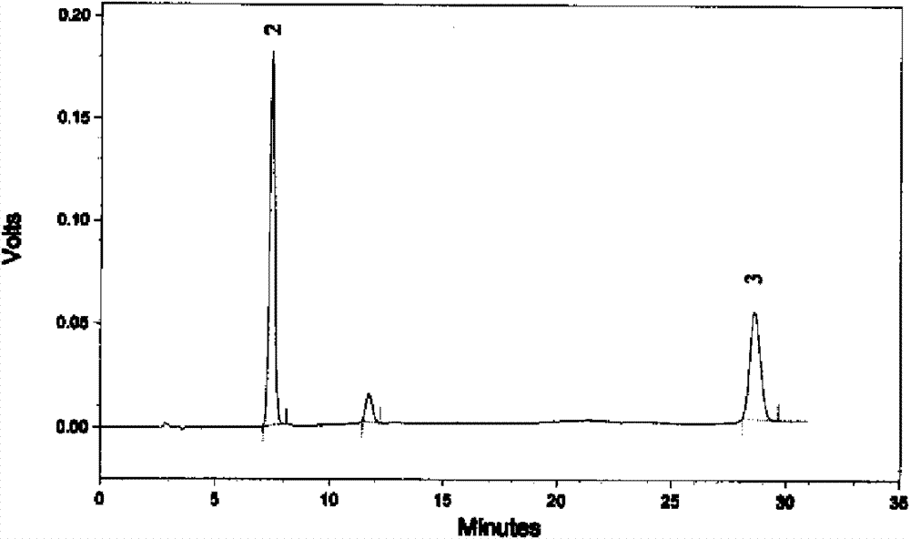 Saussurea cataplasm and production method thereof