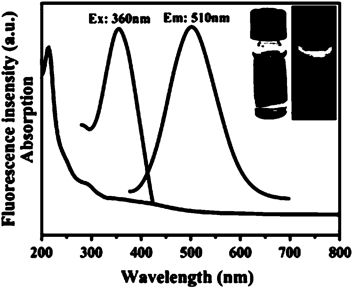 Preparation method of fluorescent carbon dot capable of imaging RNA in living cell for long time in targeting manner and product and application of preparation method