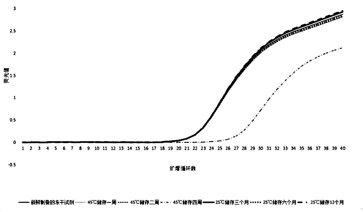 Freeze-drying PCR reagent for detecting shrimp seed enterocytozoon hepatopenaei