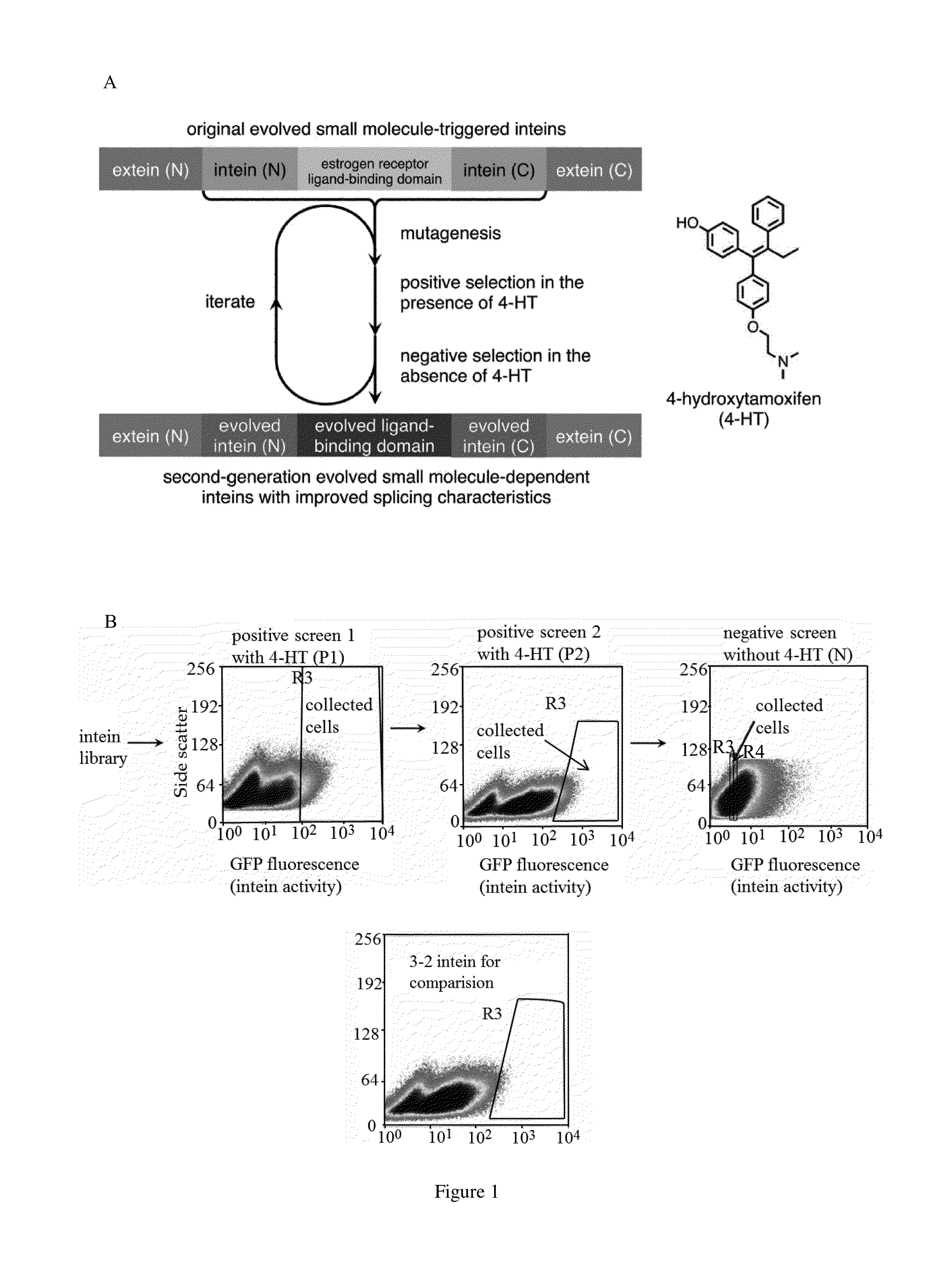 Small molecule-dependent inteins and uses thereof