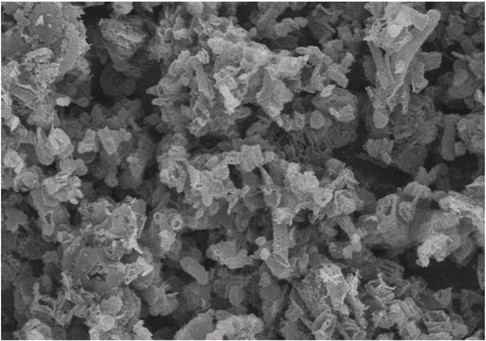 Non-noble metal catalyst for fuel battery, preparation method of non-noble metal catalyst and fuel battery