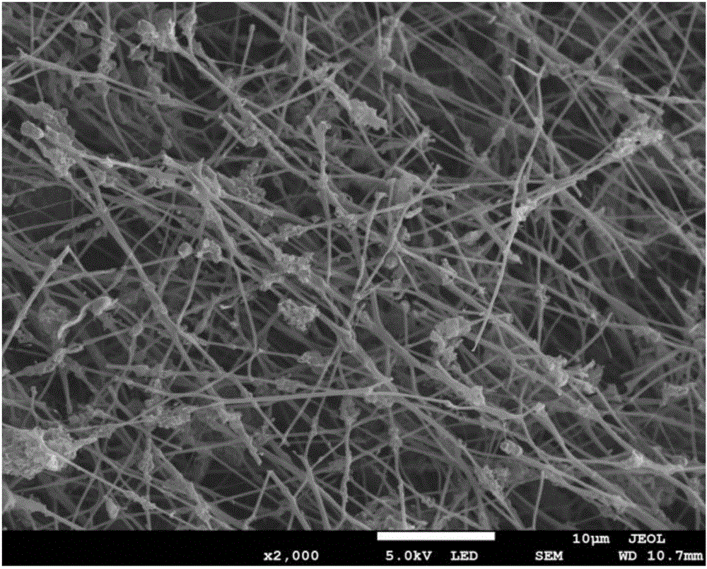 Non-noble metal catalyst for fuel battery, preparation method of non-noble metal catalyst and fuel battery