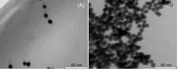 A gold nanoparticle biosensor for detecting serum creatinine and its preparation method