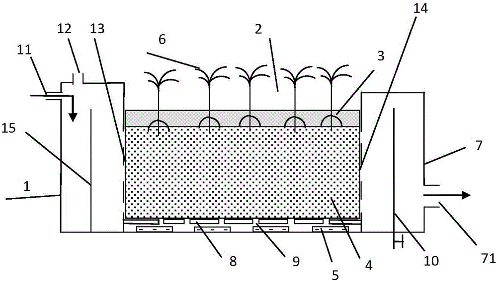 Enhanced palm micro-ecological filter bed system