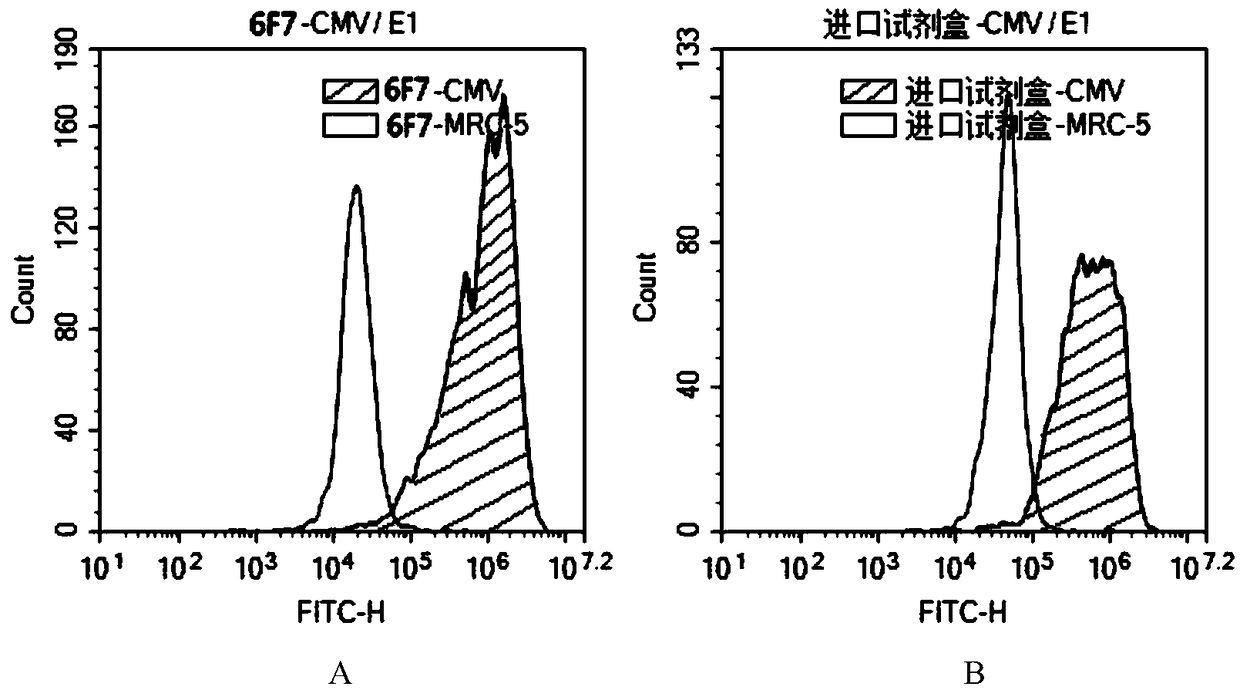 Hybridoma cell strain C11-6F7 as well as produced human cytomegalovirus (HCMV) monoclonal antibody and application thereof