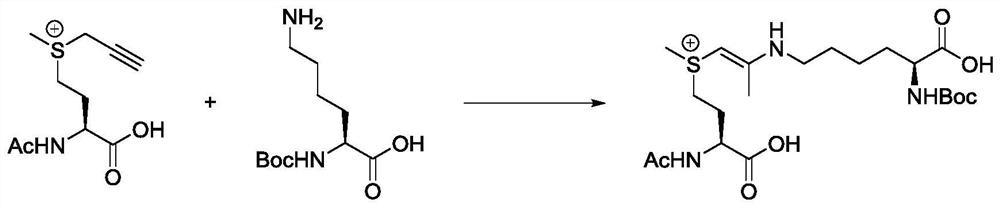 A kind of stable polypeptide protein targeting inhibitor and use thereof