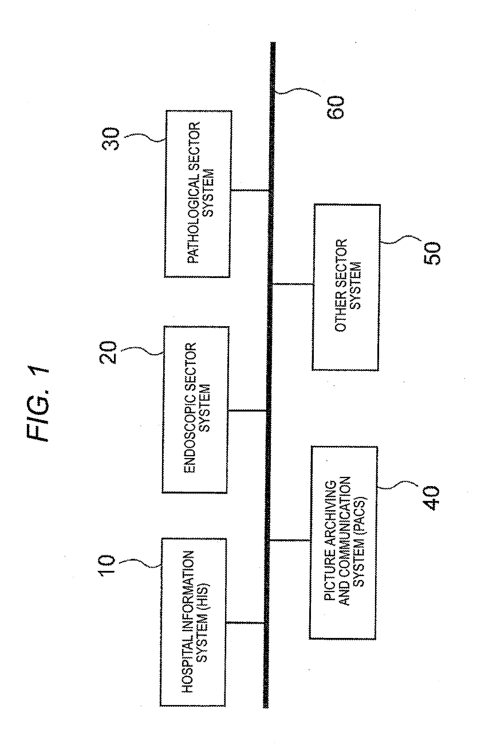 Cooperative system and cooperative processing method among medical sectors and computer readable medium