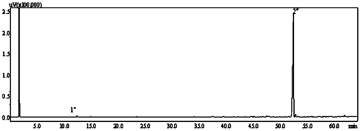 Method for synthesizing dibornyl oxalate by using borneol