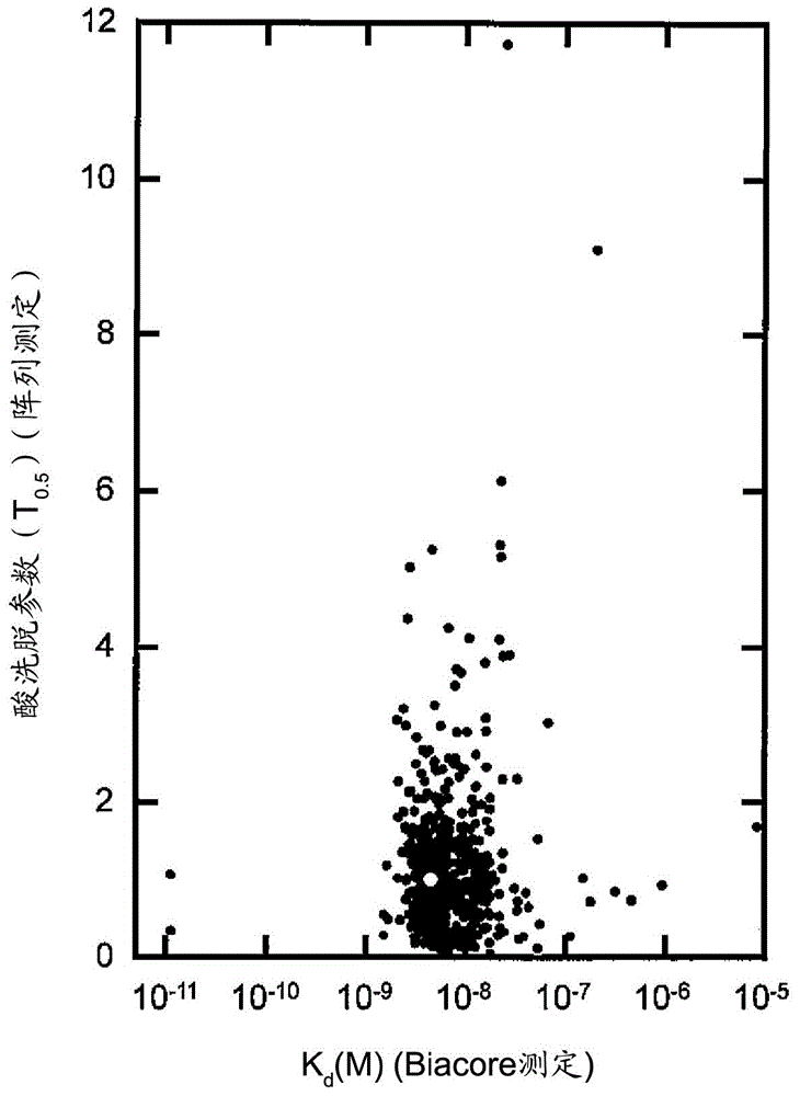 Support for antibody purification, manufacturing method for same, and application for same