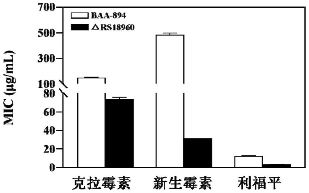 Recombinant cronobacter sakazakii and application thereof