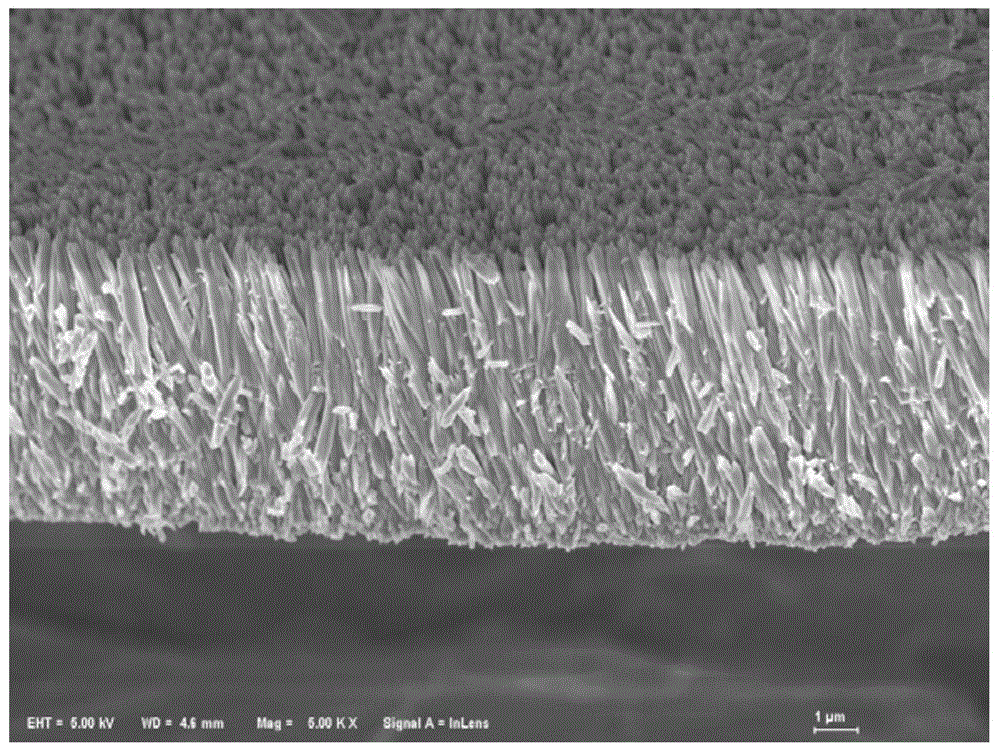 Application of titanium dioxide array membranes serving as second-order nonlinear optical materials