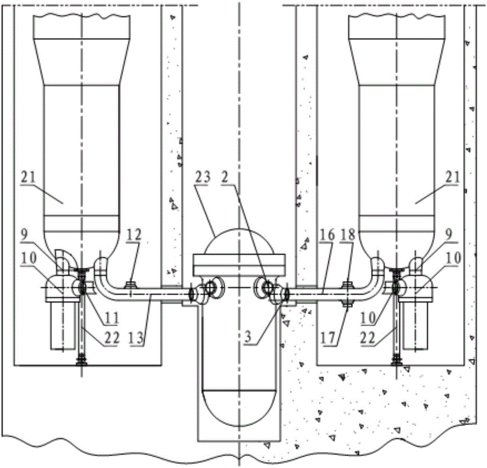 Passive pressurized water reactor nuclear power plant reactor coolant loop layout