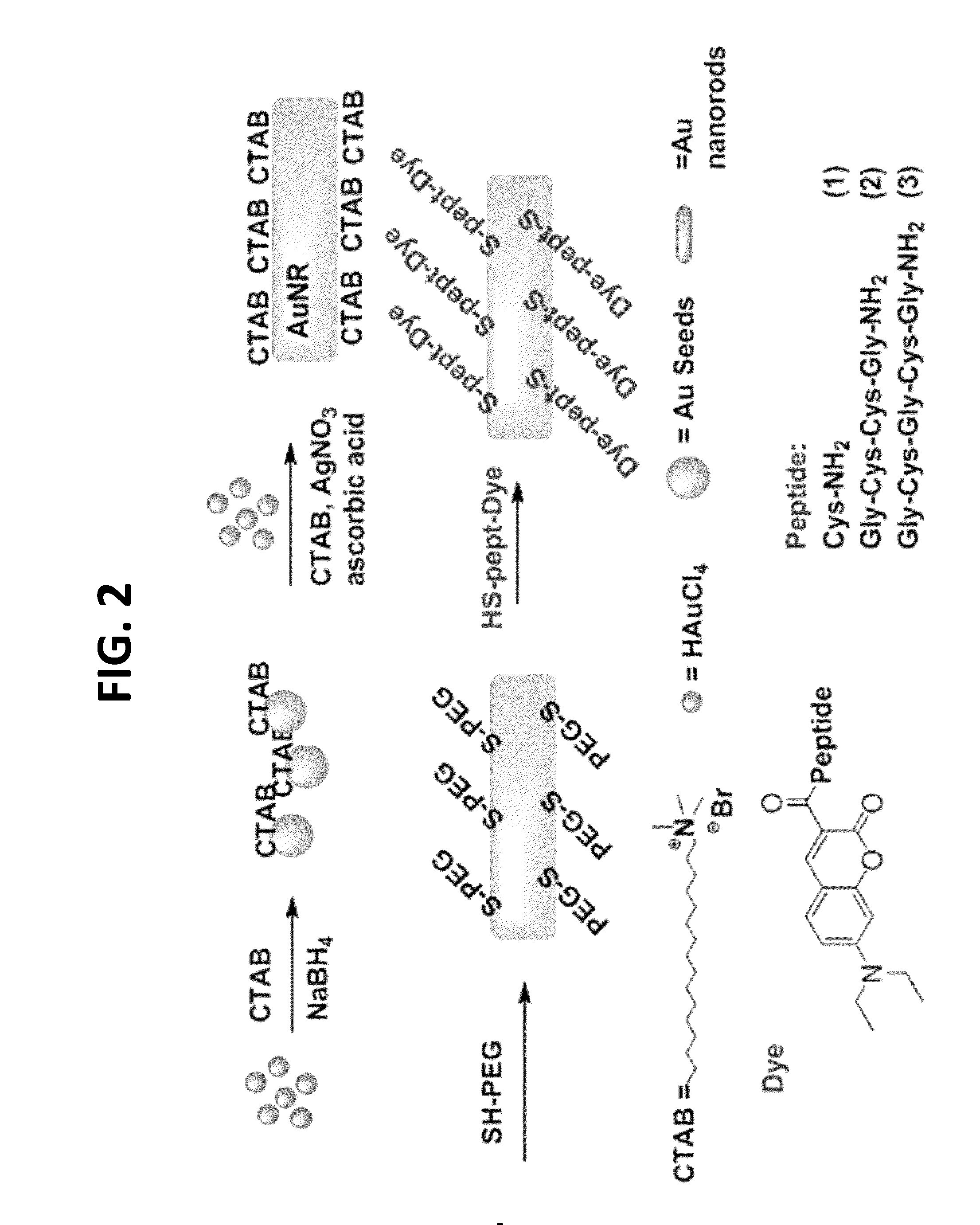 Nanothermometer, Methods and Uses Therefor