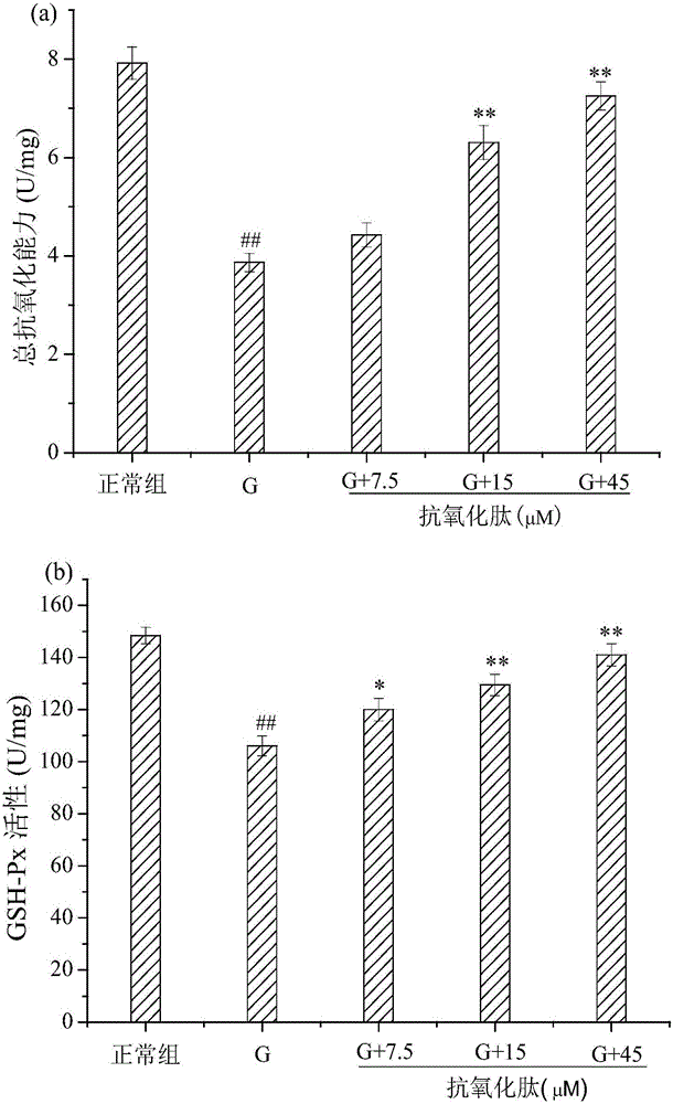 Small peptide and application thereof