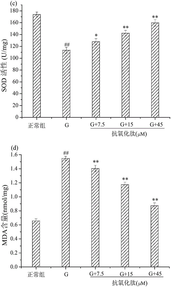 Small peptide and application thereof