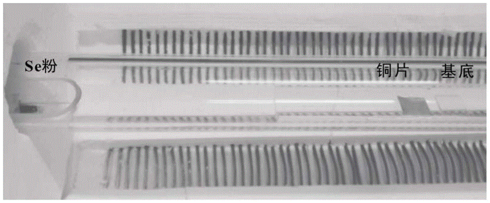 A two-dimensional transition metal dichalcogenide single crystal and its preparation method and application