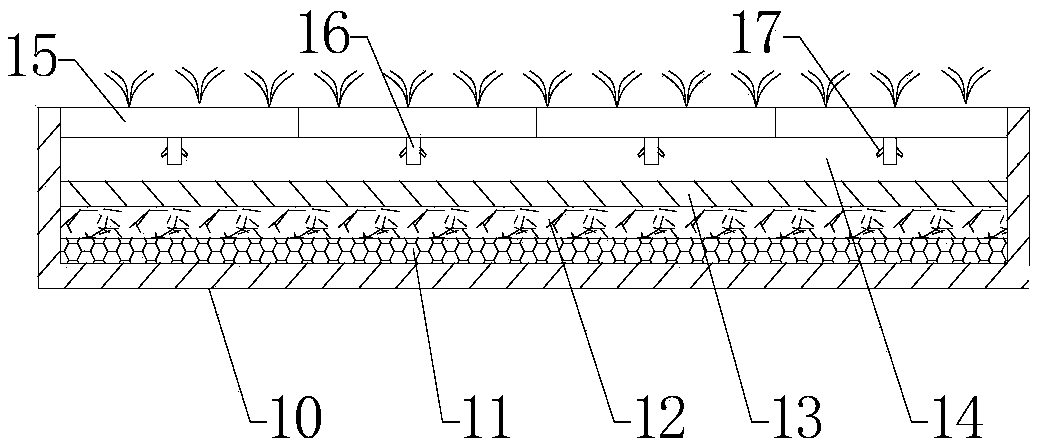 Mountain Rocky Desertification Vegetation and Landscape Ecological Restoration System