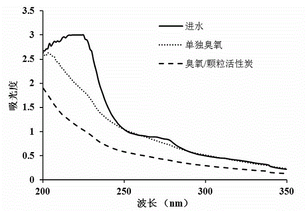 Method for treating coking wastewater by using ozone under catalysis of activated carbon