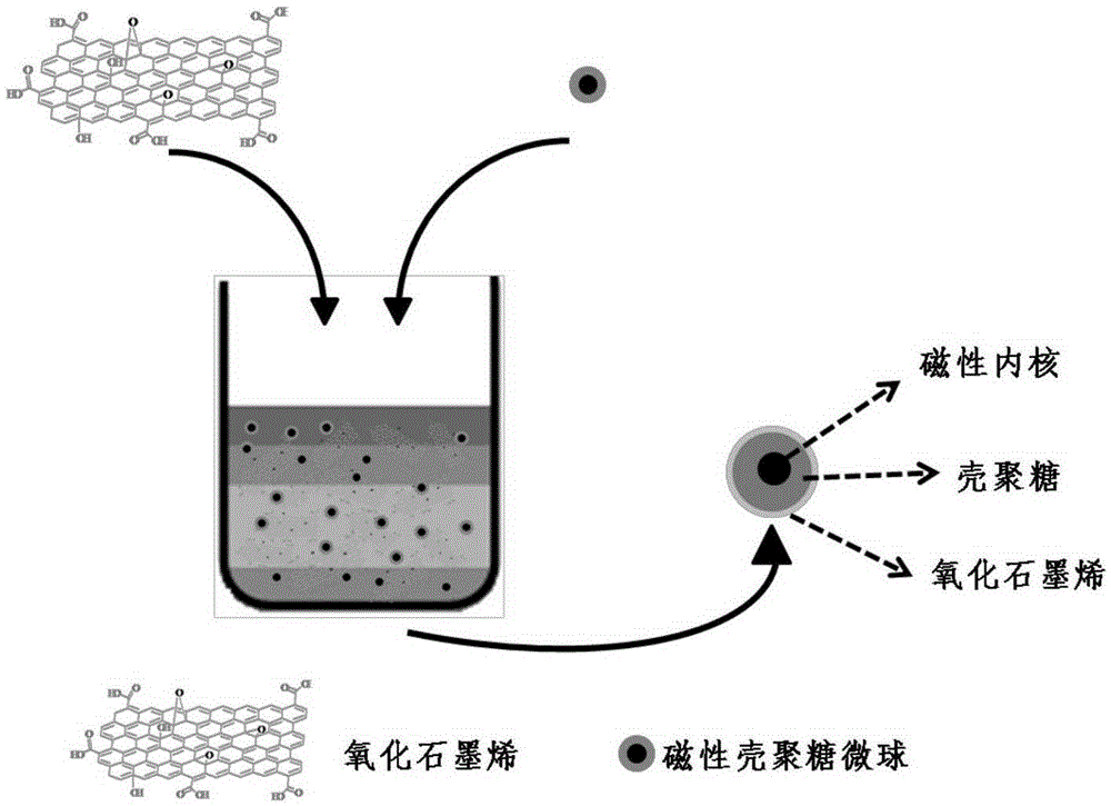 Method for preparing functionalized graphene