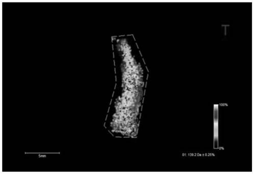 A detection method for exogenous organic pollutants in plants