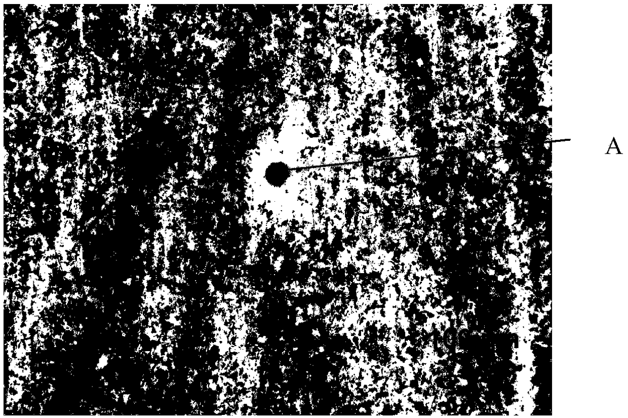 Evaluation method for corrosion resistance of low-alloy steel for polar region ocean environment