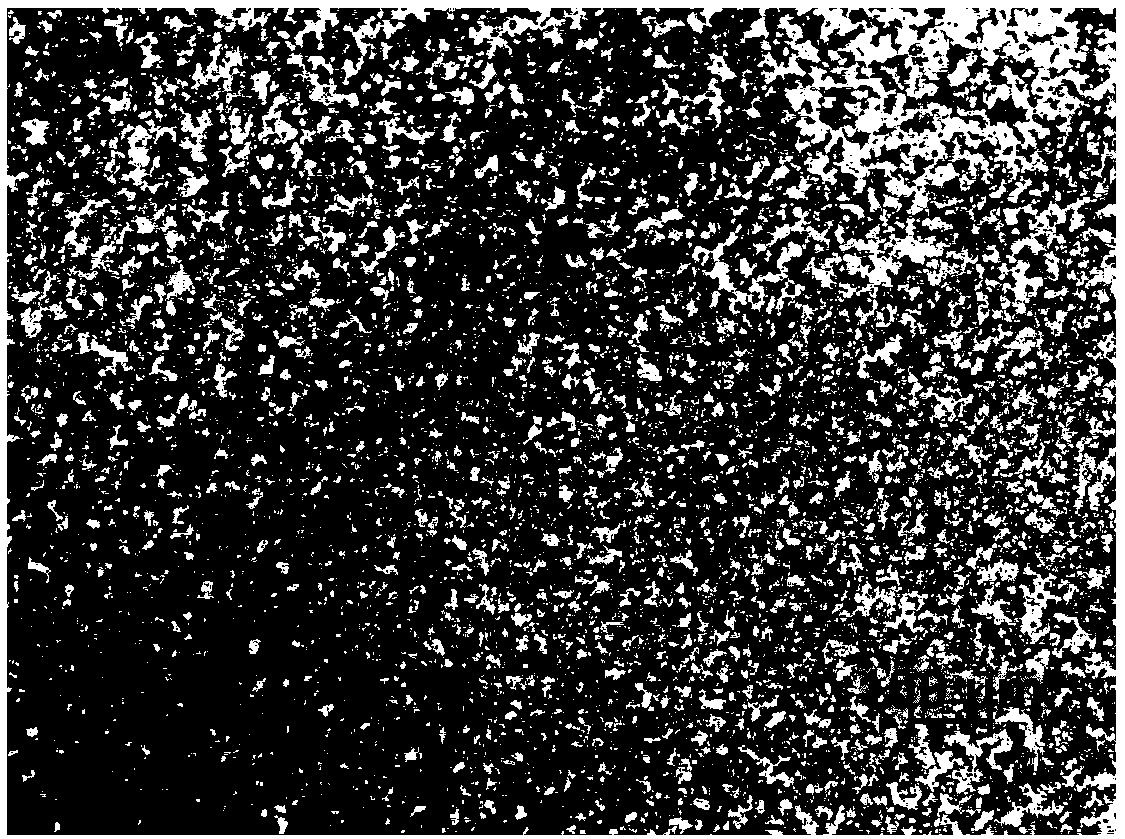 Evaluation method for corrosion resistance of low-alloy steel for polar region ocean environment