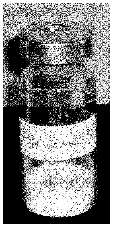 SAPC-phospholipid nanovesicle freeze-dried preparation, its preparation method and use