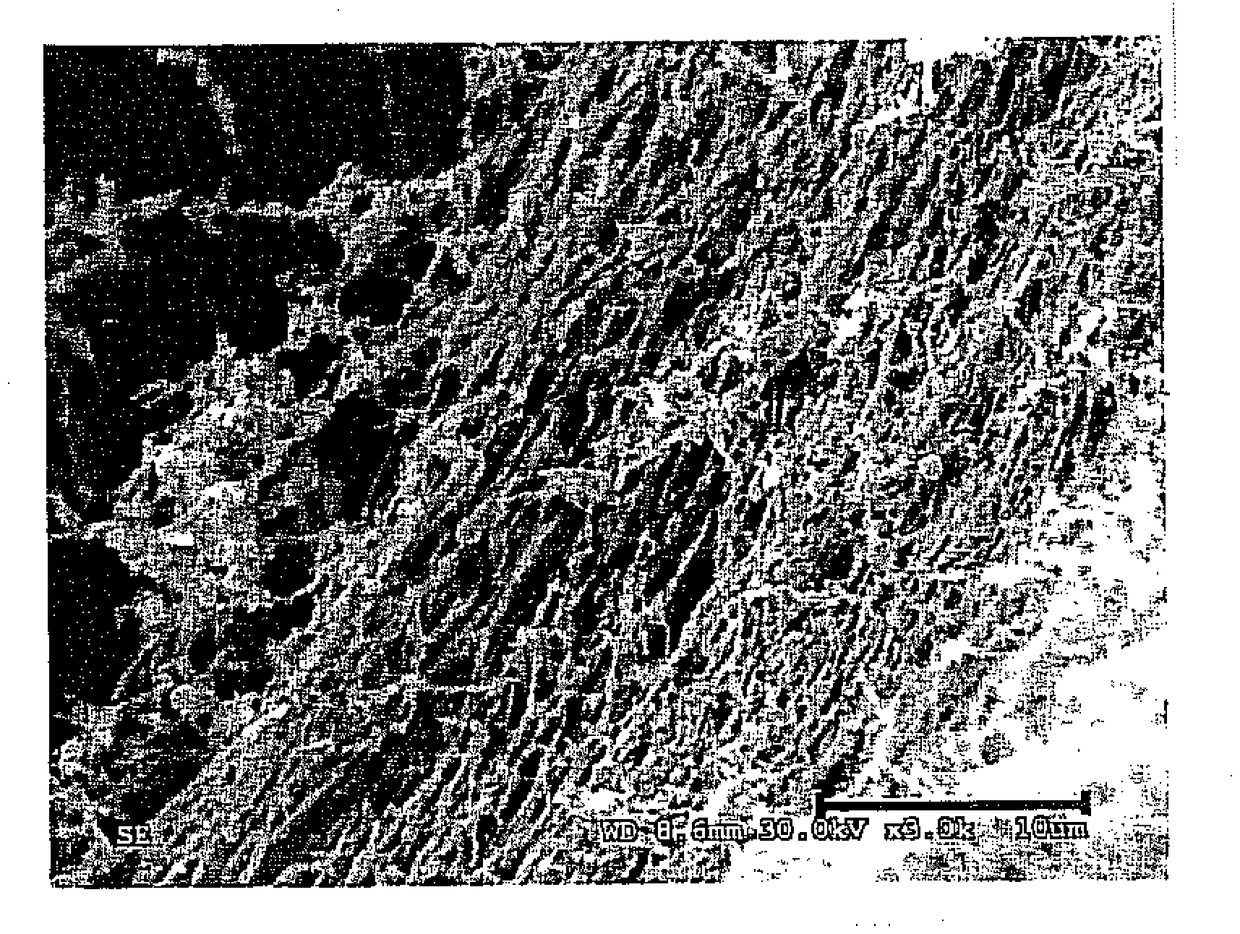 SAPC-phospholipid nanovesicle freeze-dried preparation, its preparation method and use