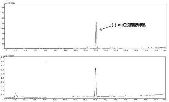 Recombinant Yarrowia lipolytica producing (-)-α-bisabolol and its construction method and application