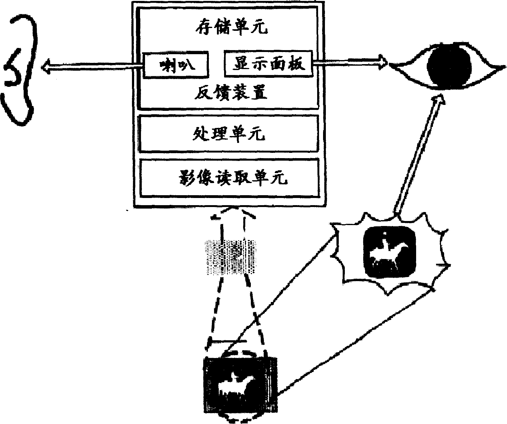 Information reading device for processing according to information reading sequence