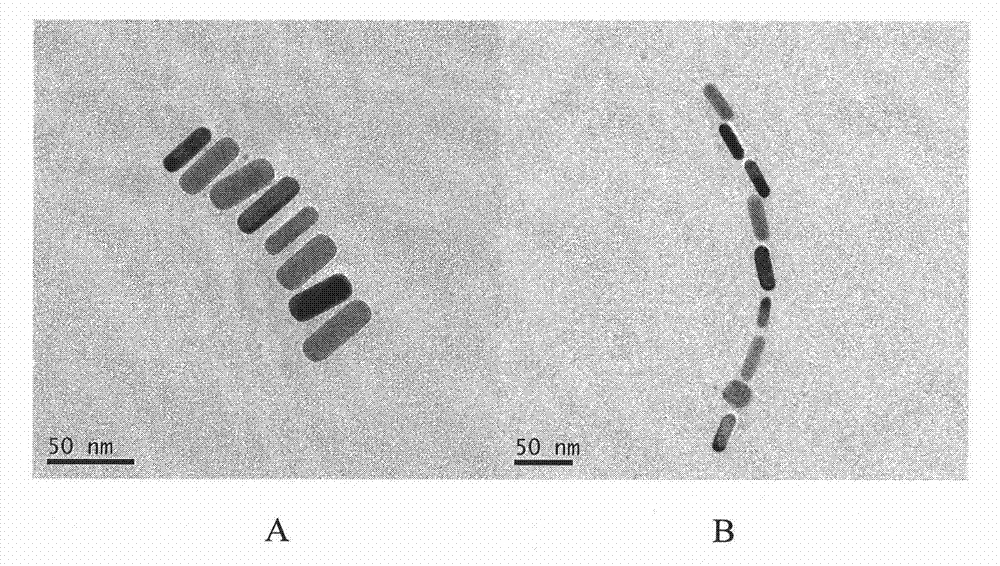 Antigen-antibody reaction-based controllable gold nanorod assembling method