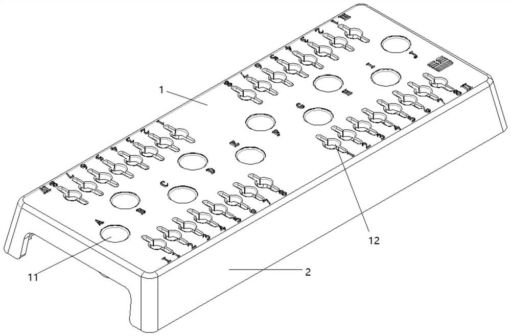 Multifunctional test tube rack