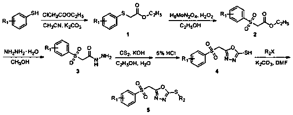 2,5-substituent-1,3,4-oxadiazole sulfone derivative as well as preparation method and application thereof