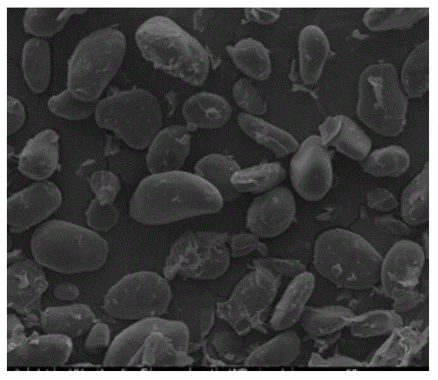 Multi-enzyme-modified microcrystalline Chinese yam powder for relaxing bowel and preparation method thereof