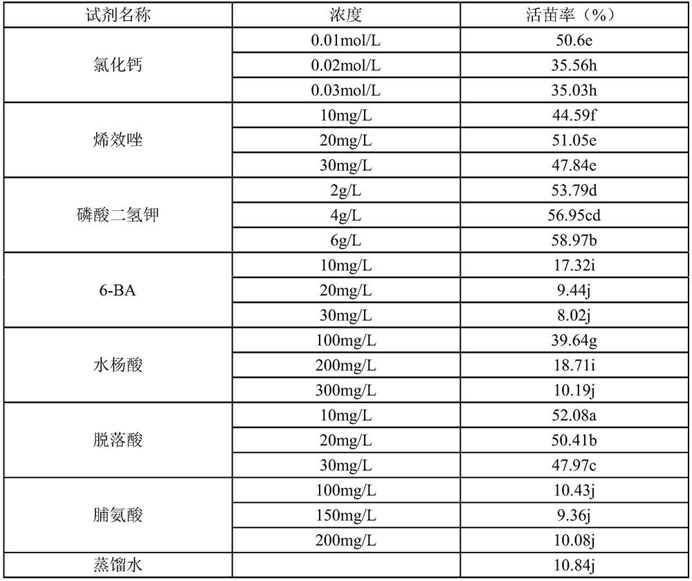 Rice seedling anti-low temperature regulator and its preparation method and application