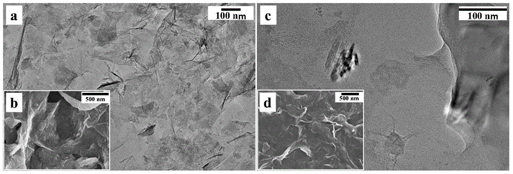 Ionic liquid covalent-modified graphene-hydrotalcite-like composite membrane fixed protein-modified electrode, and preparation method and detection application thereof