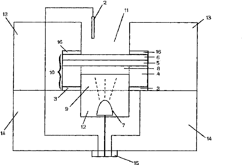 Light-addressable potentiometric sensor for monitoring isolated mouse heart