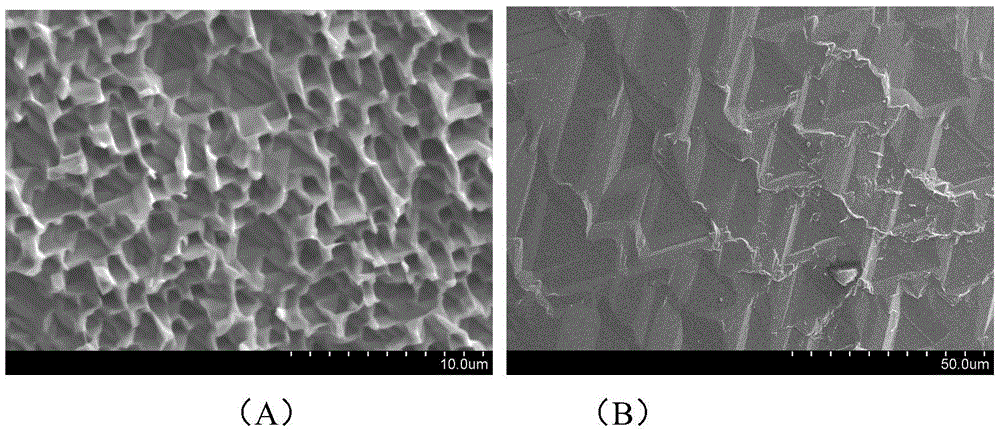 Single-surface texturing method for diamond wire cut polycrystalline silicon wafer, and diamond wire cut polycrystalline silicon wafer with single surface textured