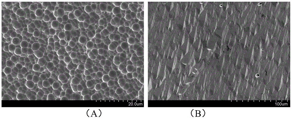 Single-surface texturing method for diamond wire cut polycrystalline silicon wafer, and diamond wire cut polycrystalline silicon wafer with single surface textured