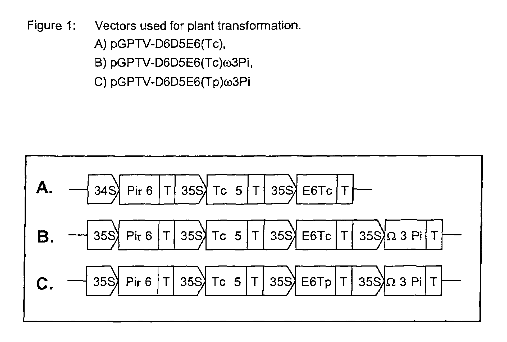 Method for producing arachidonic acid and/or eicosapentaenoic acid in useful transgenic plants