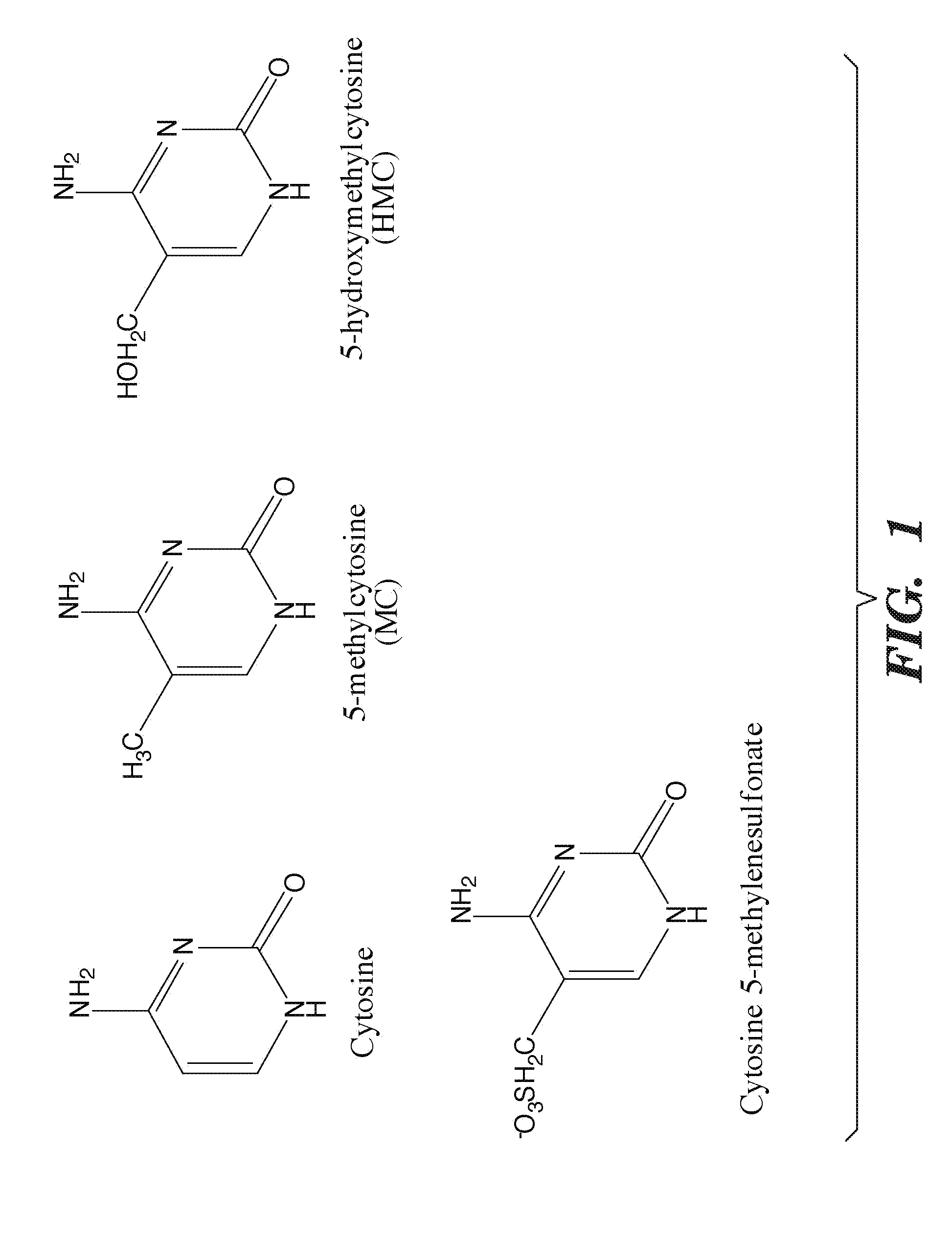 Selective oxidation of 5-methylcytosine by TET-family proteins