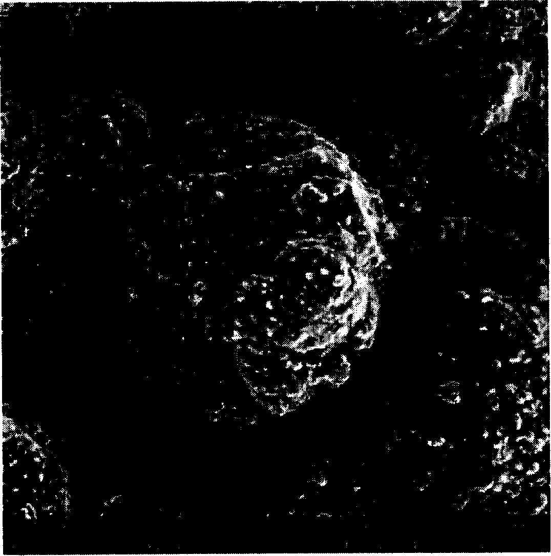 Olefin polymerization solid catalyst carrier and preparation thereof