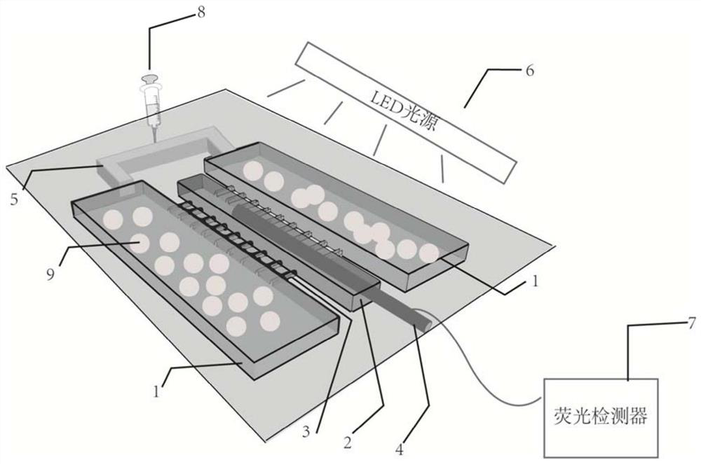 Biochemical oxygen demand microfluidic detection equipment and biochemical oxygen demand microfluidic detection method based on bacterial microcapsules