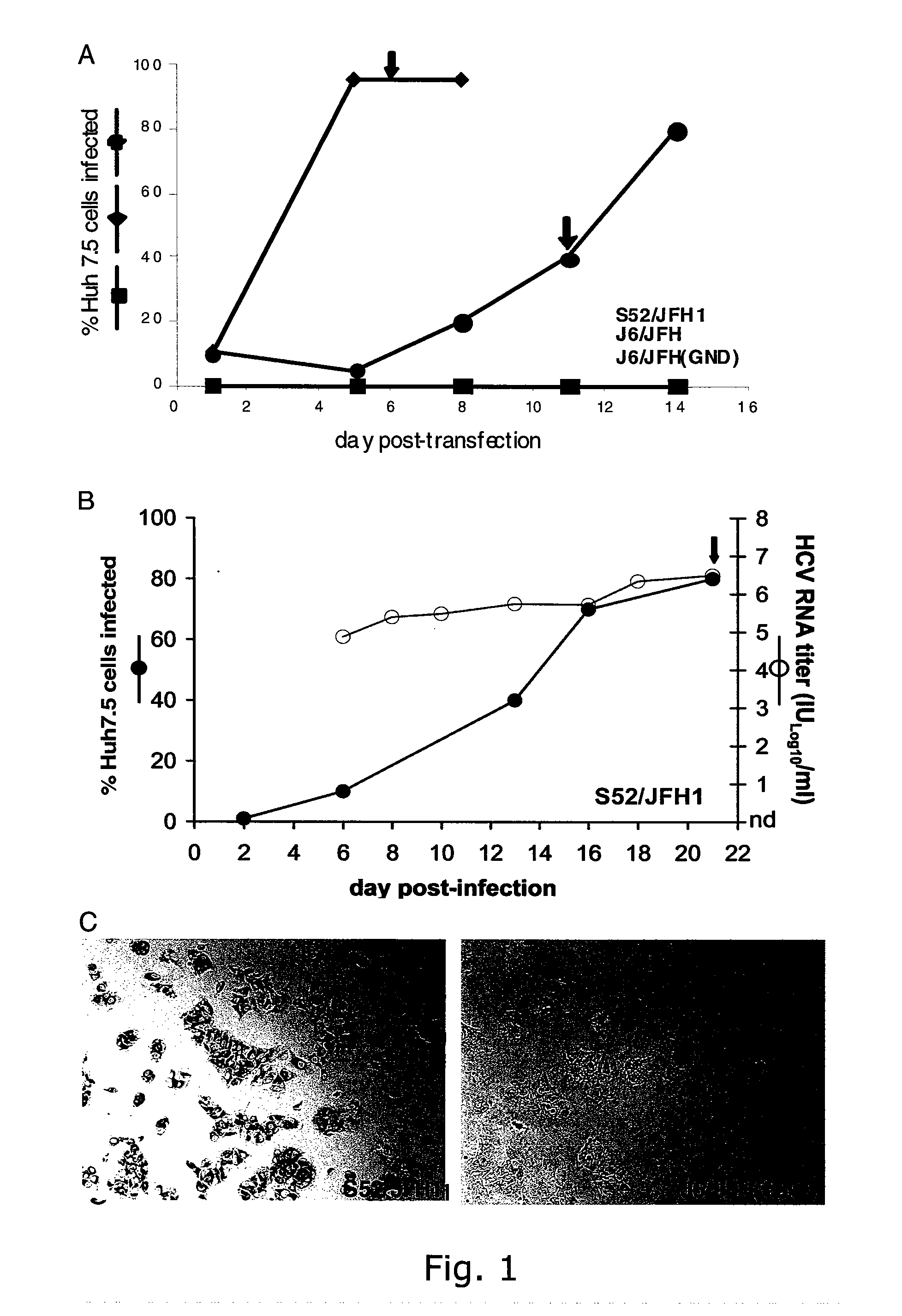 Cell culture system of a hepatitis c genotype 3a and 2a chimera