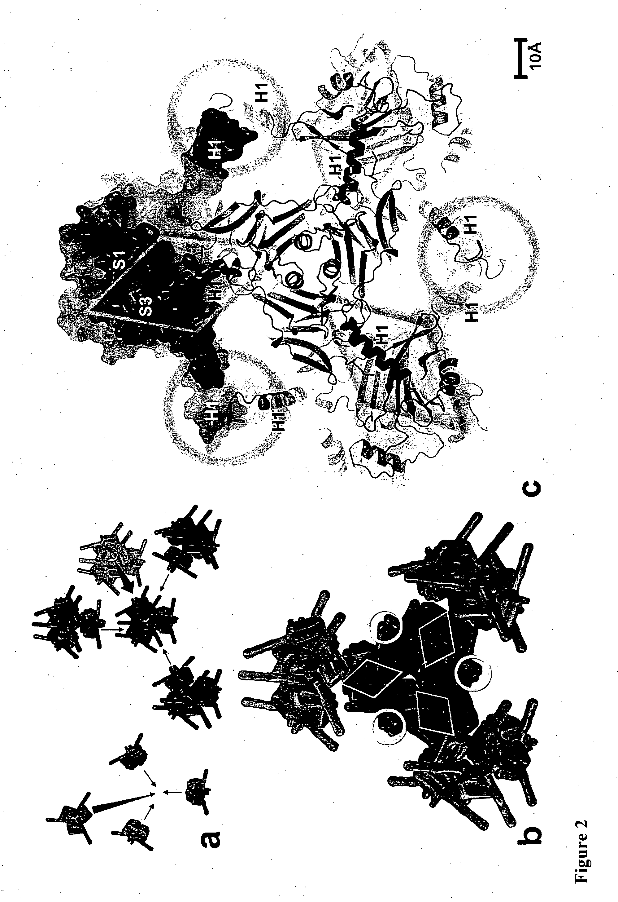 Viral polyhedra complexes and methods of use